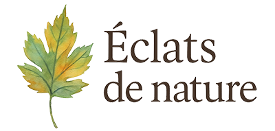 Eclats de nature